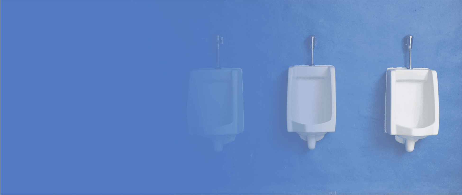 image_13_2_a66629c8-8112-4472-aea6-4e10d3f5b647.png